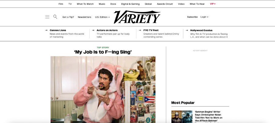 Variety sine WordPress hjemmesider